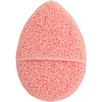 Reinigungsschwamm